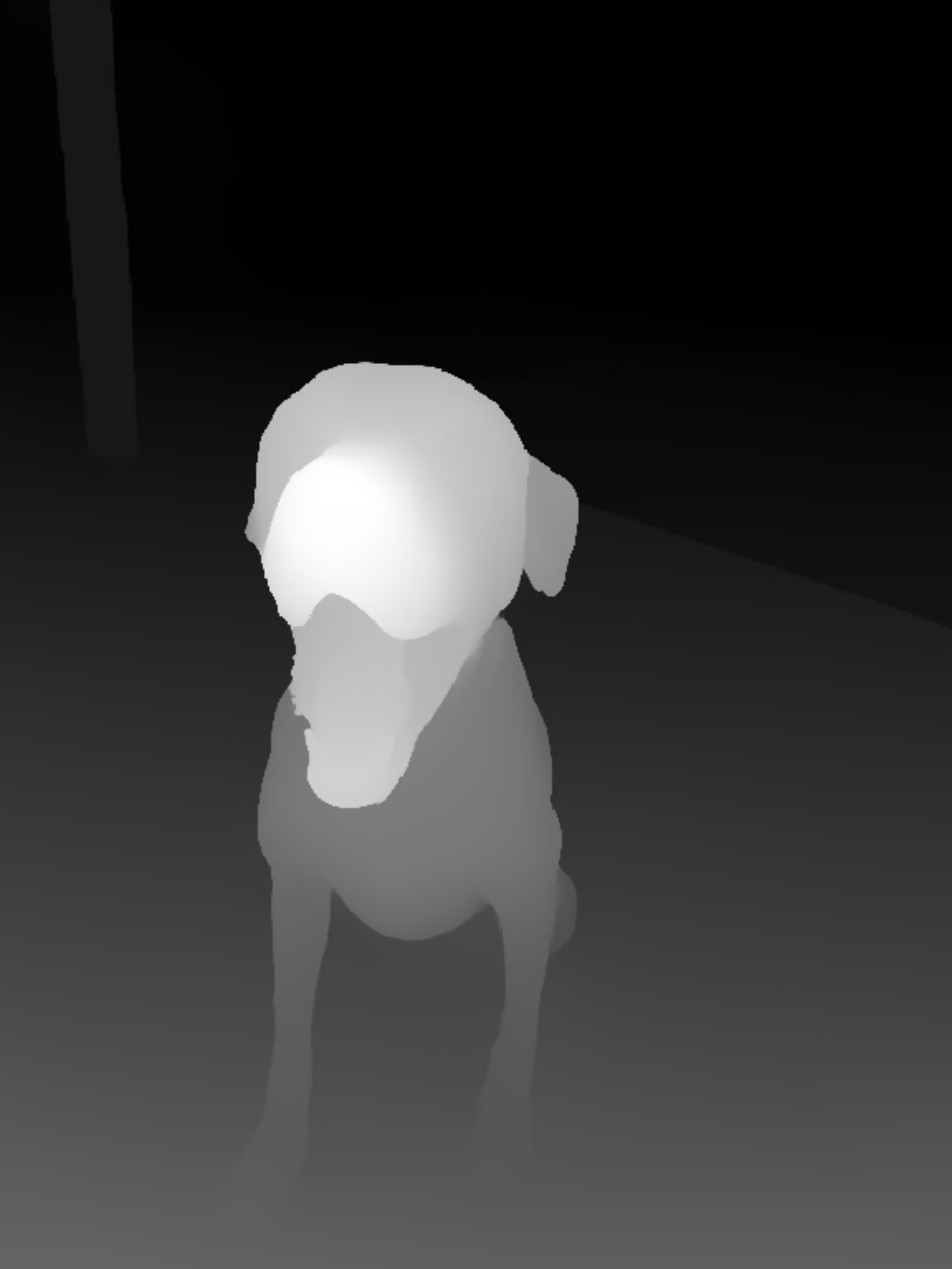 Depth Map